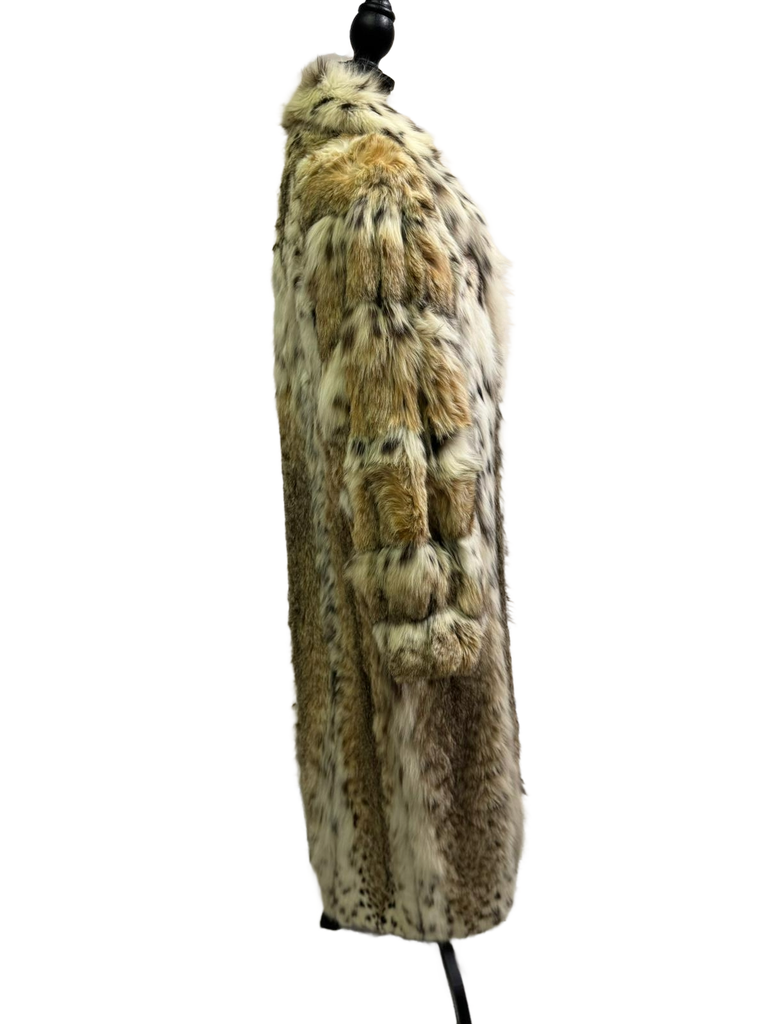 American cat Lynx full lenght coat