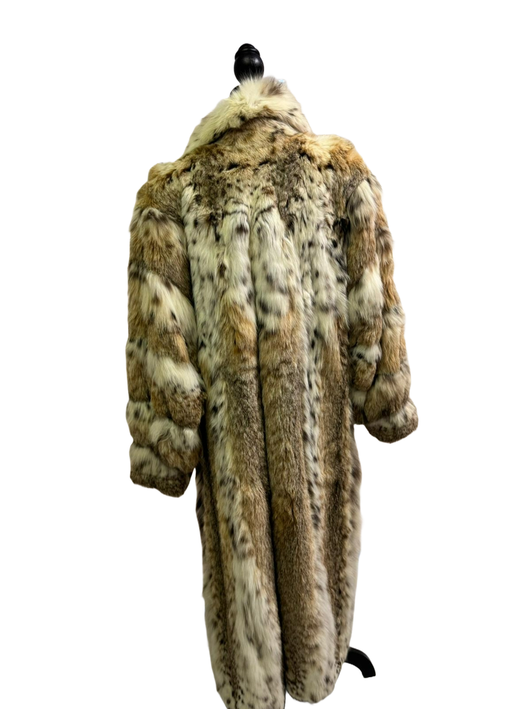 American cat Lynx full lenght coat
