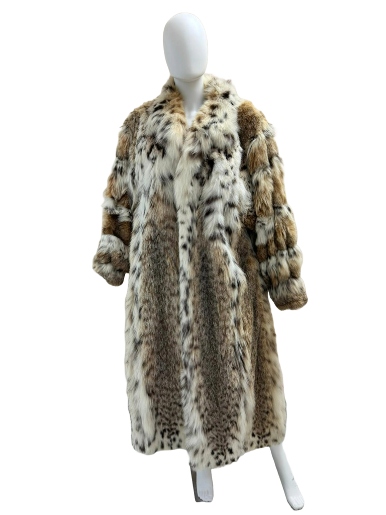 American cat Lynx full lenght coat